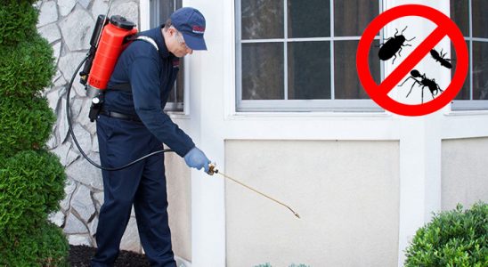 Başmakçı Bit İlaçlama böcek ilaçlama ve haşere kontrolü — ilaclama-tr.com